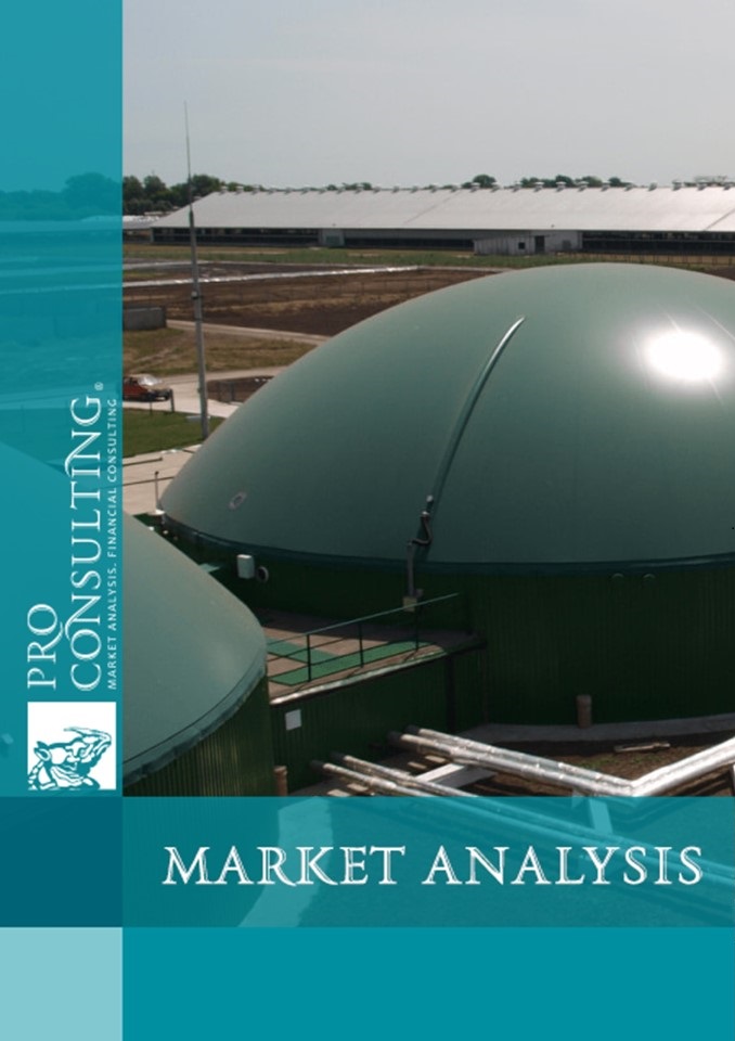 Market research report on biogas market and raw materials for its production in the Vinnytsia region. 2024 year